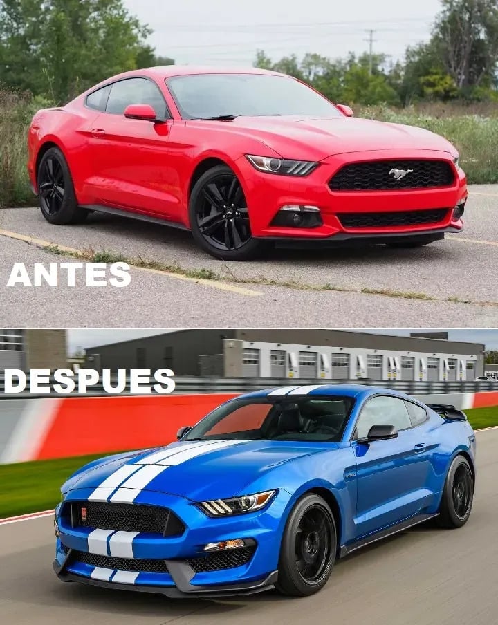 Body Kit Bumper Frontal GT 350 Negro Delantero Ford Mustang 2015-2023