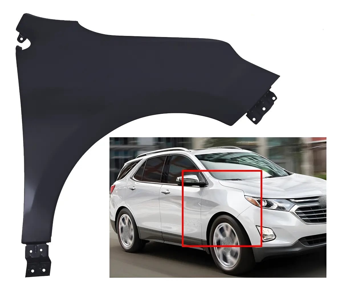 Fender Para Pintar