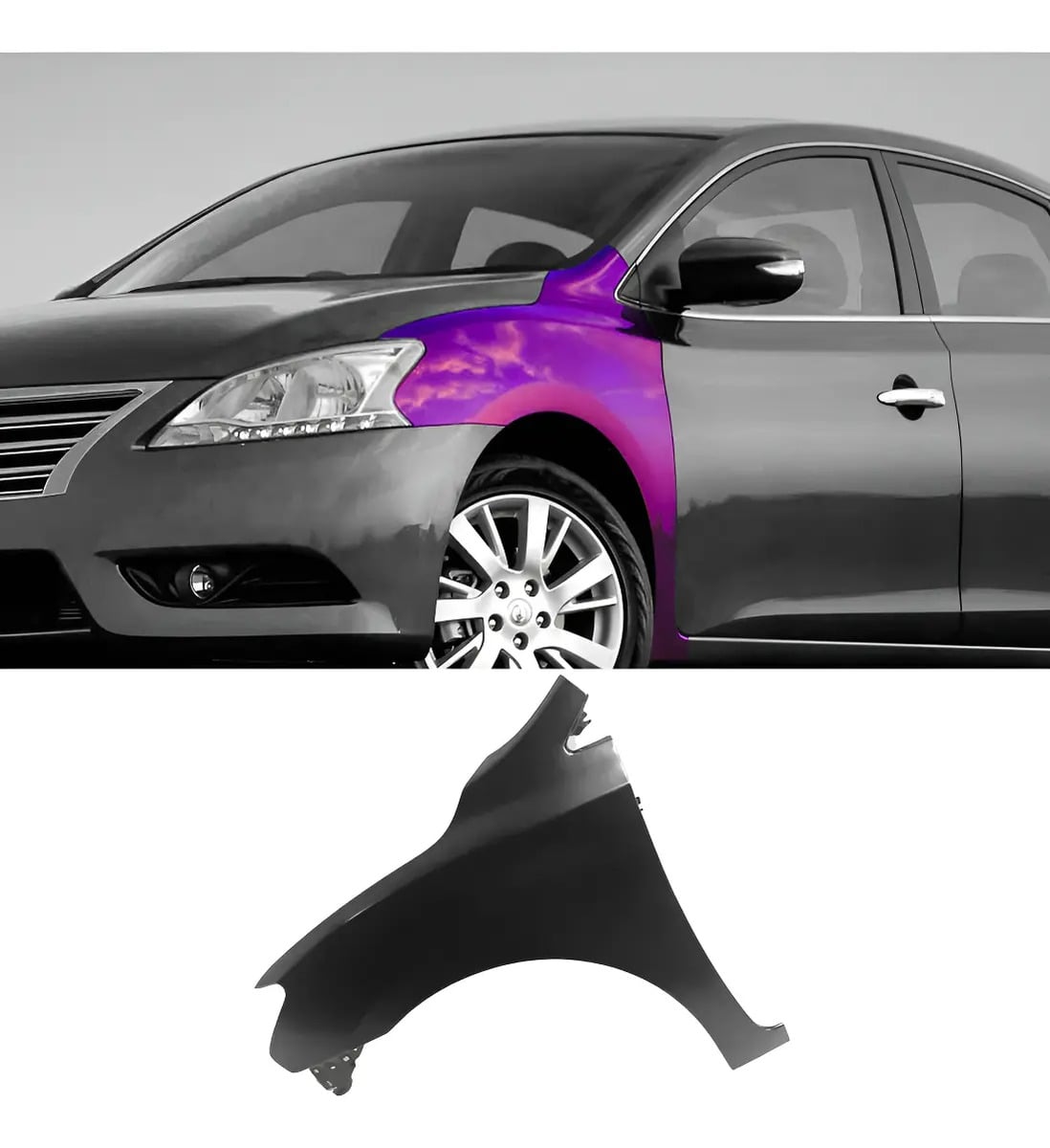 Fender Para Pintar