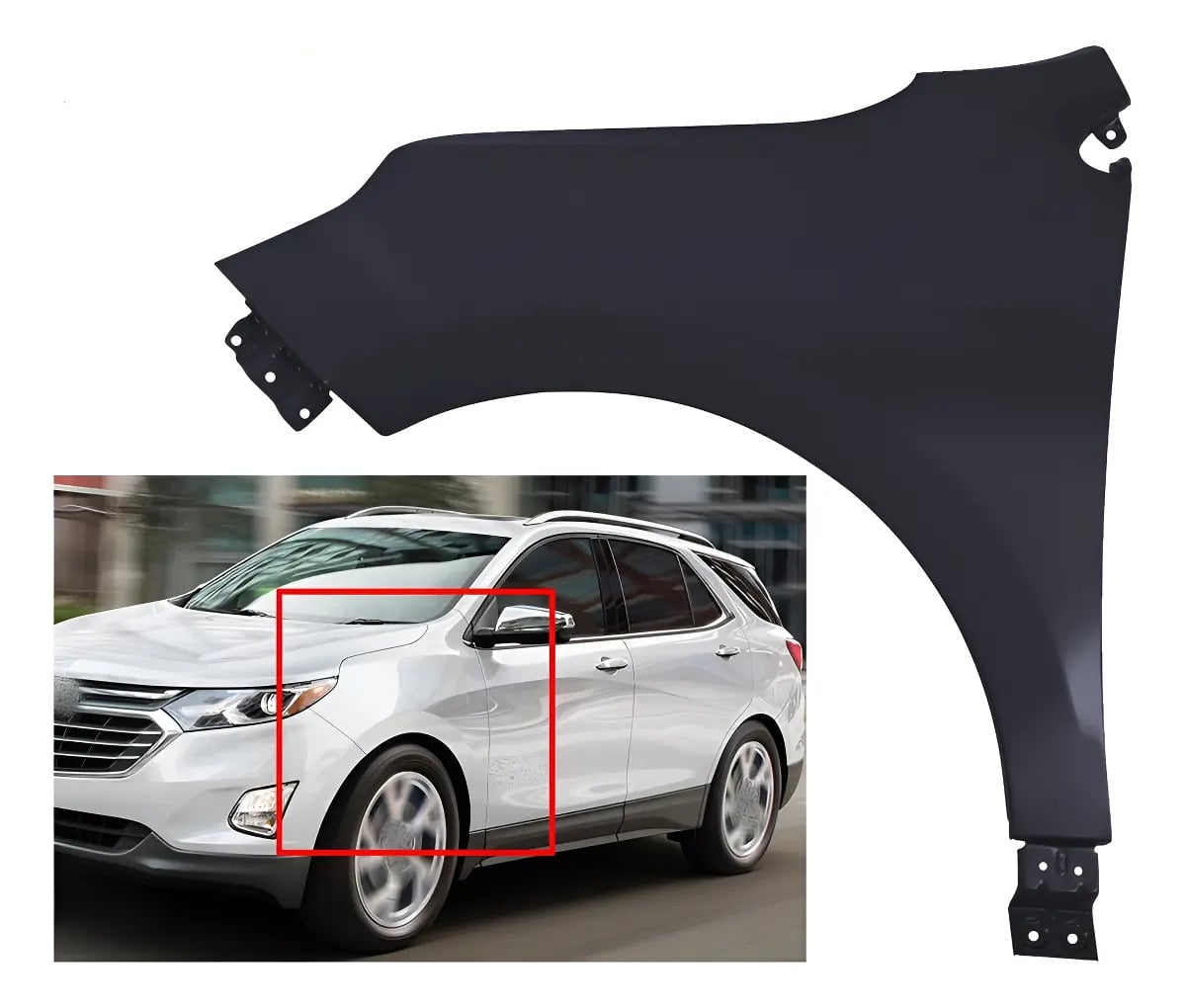 Fender Para Pintar