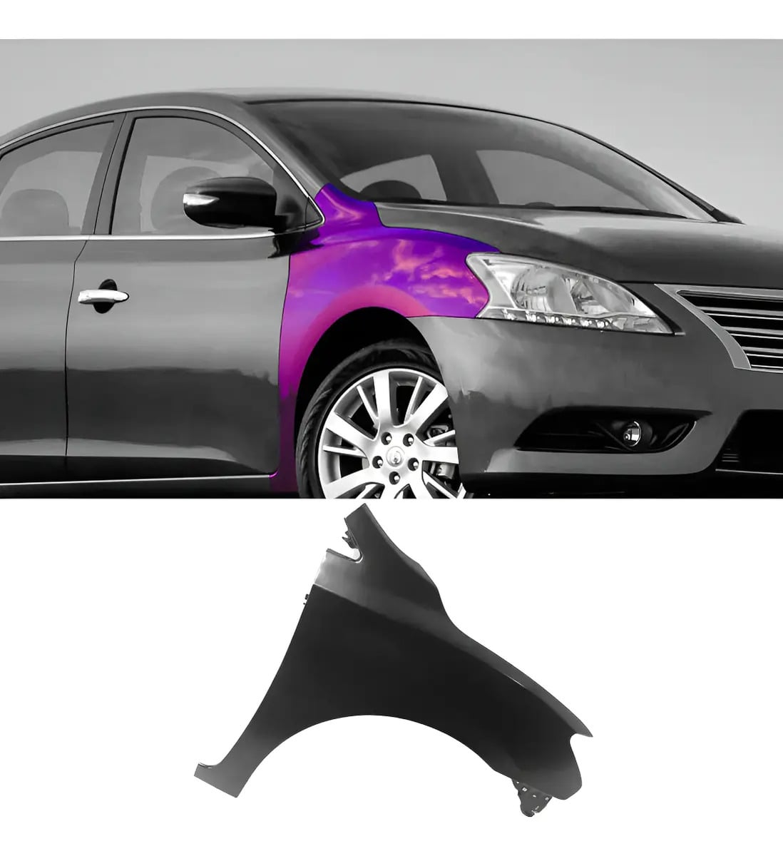 Fender Para Pintar