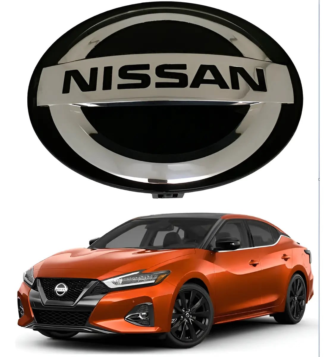 Emblema Maxima 19-22